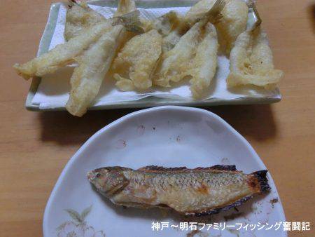 ハゼシーズンにはまだ早い？