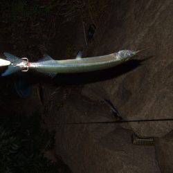 まさかのランカー