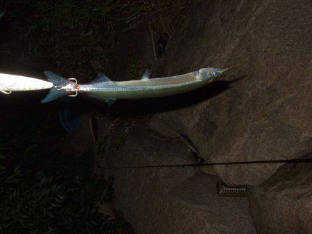 まさかのランカー