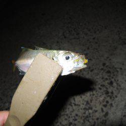 スプリットゲーム