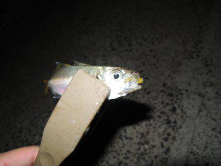 スプリットゲーム