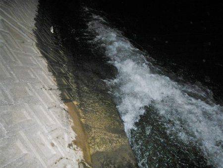 寄り道シーバス