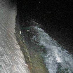 シーバス釣れずナマズ