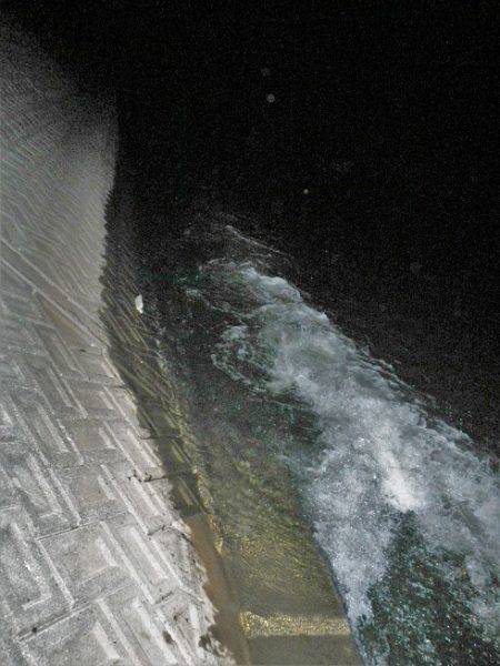 シーバス釣れずナマズ