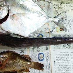 久しぶりの好釣