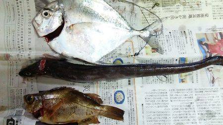 久しぶりの好釣