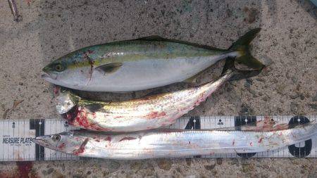 トリプルスリー？達成❗