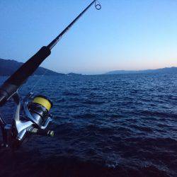 敦賀半島新子調査