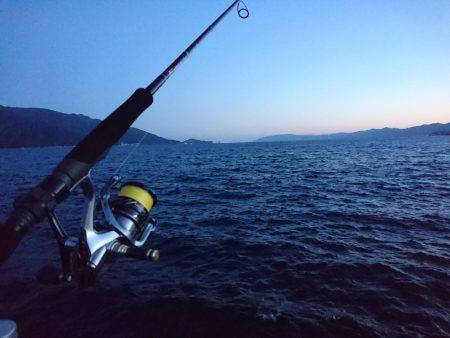 敦賀半島新子調査