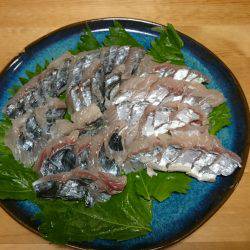 ファミリーフィッシング