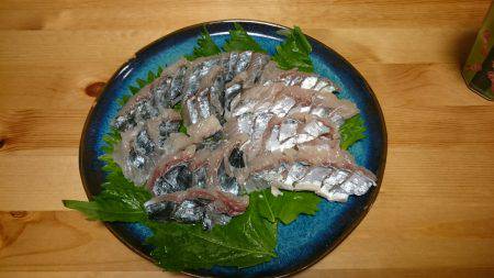 ファミリーフィッシング