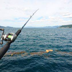 ベイトショアジギ