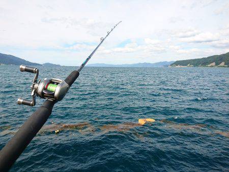 ベイトショアジギ