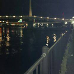 驚愕の野島ポテンシャル！メバルポンポン