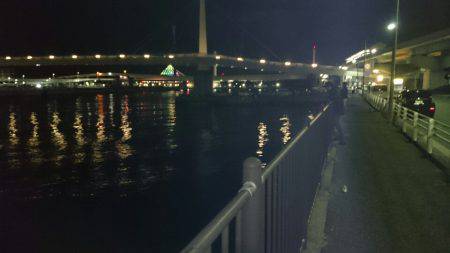 驚愕の野島ポテンシャル！メバルポンポン