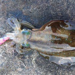 大会余波の混雑