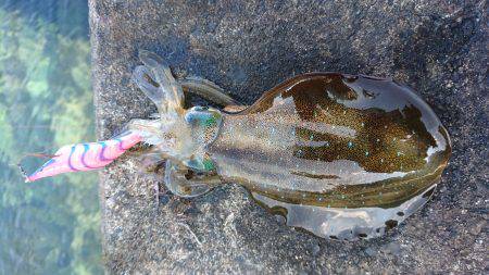 大会余波の混雑