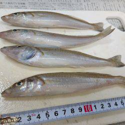 キスフィーバー