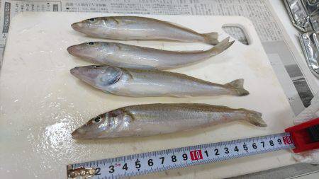 キスフィーバー