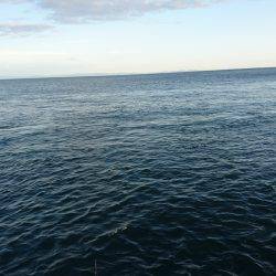 ショアジギング