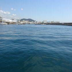 朝からショアジギング