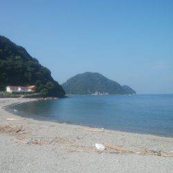 ロックフィッシュ