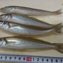 戻ってきたキス