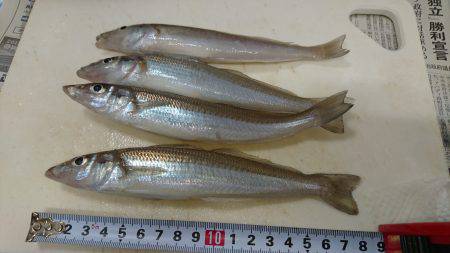 戻ってきたキス