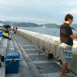 タチウオ&アオリイカ