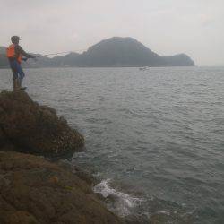 ロックフィッシュ＆　シーバス