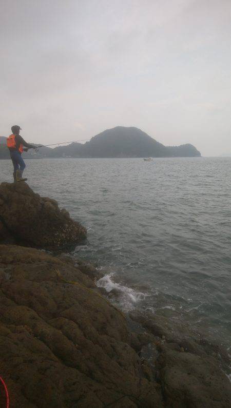 ロックフィッシュ＆　シーバス