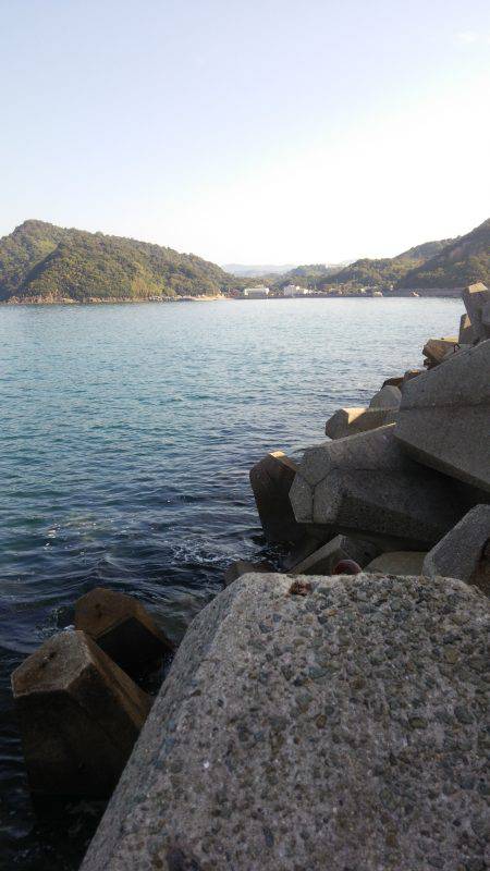 teamゲッソー調査隊