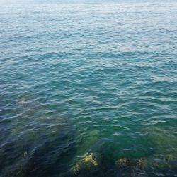 teamゲッソー調査隊