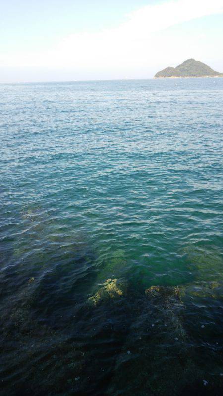 teamゲッソー調査隊