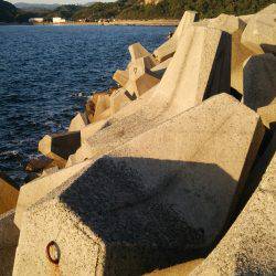 teamゲッソー調査隊