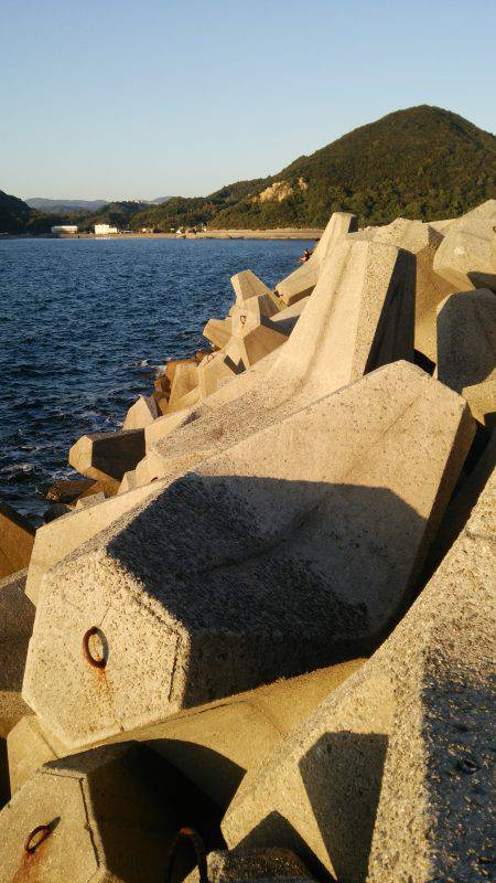 teamゲッソー調査隊