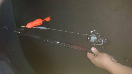 カツオ&タチウオ