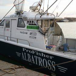 アルバトロスでメジロ爆釣