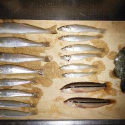 キスはどこへ…？