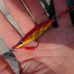 貝塚人工島 青物調査