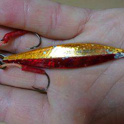 神戸 北公園 釣果