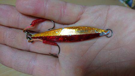 神戸 北公園 釣果