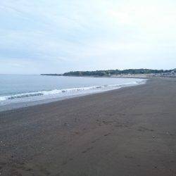 メタルマルがハマりました。