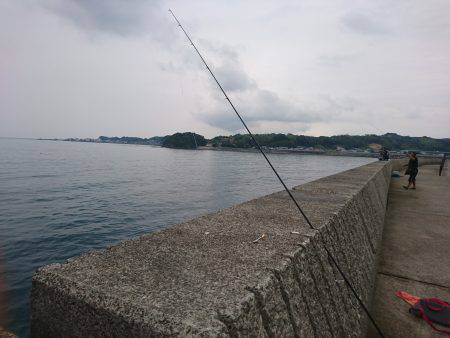 カマスまわってきてます！