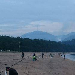 浜からちょい投げ