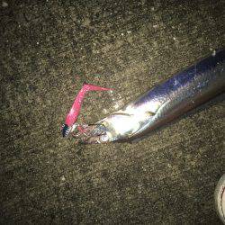 渋い時こそルミノーバ、間違いないです！！