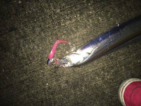 渋い時こそルミノーバ、間違いないです！！