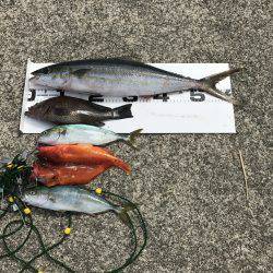 久しぶりの磯。