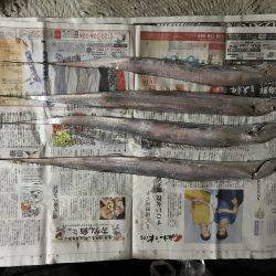 青物とタチウオ釣り