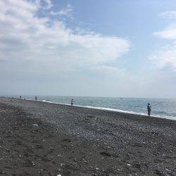 ギリギリイナダサイズ